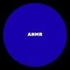 anmrenterprise